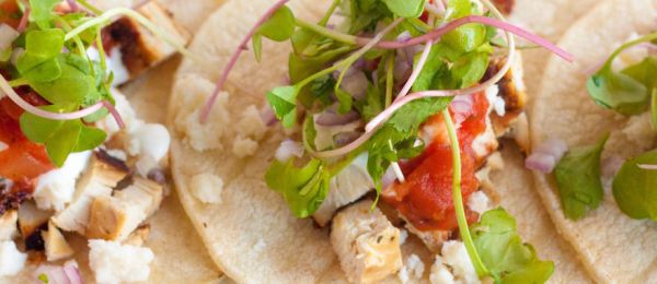 Need Gluten Free Tacos? Taco Caterers Have You Covered