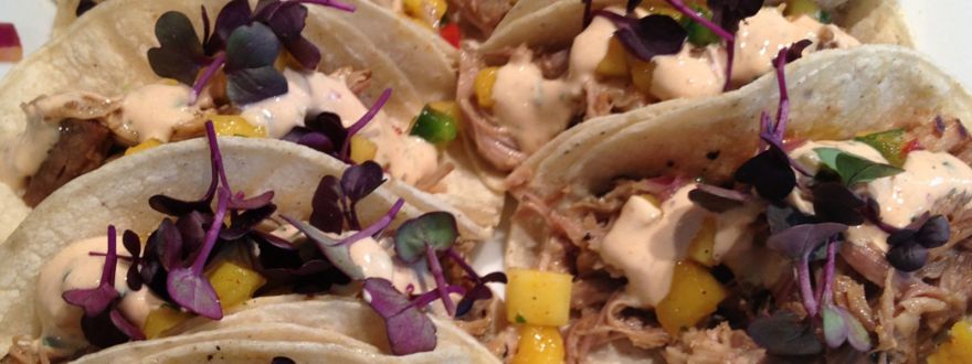 Taco Catering: Understanding the Lingo